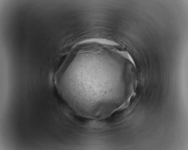 X0000094200568200711161810