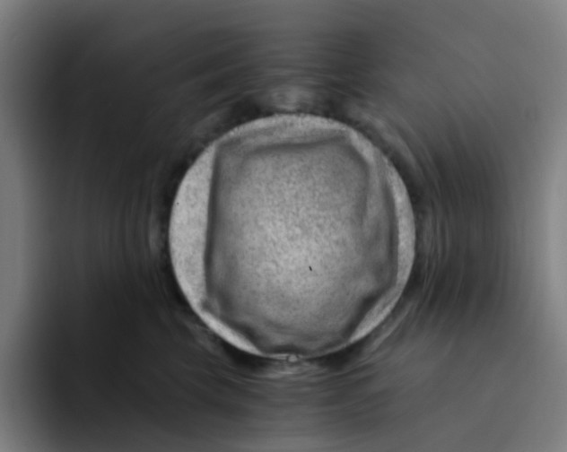 X0000094200569200711161810