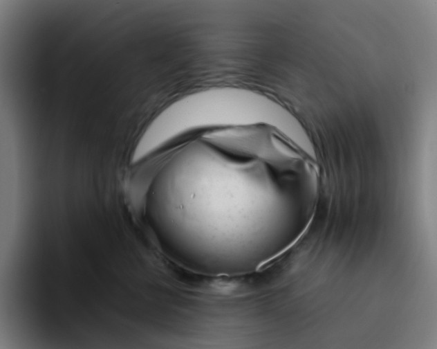 X0000094200570200711161810