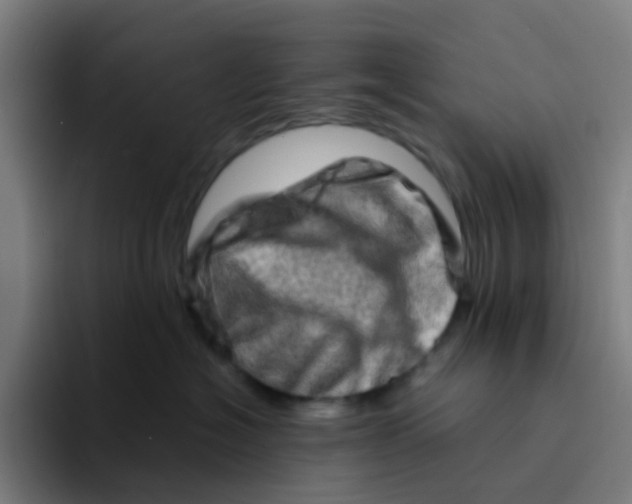 X0000094200574200711161810