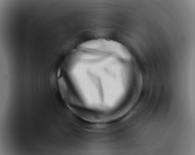 X0000094200575200711161811