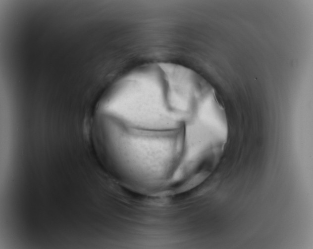 X0000094200576200711161811