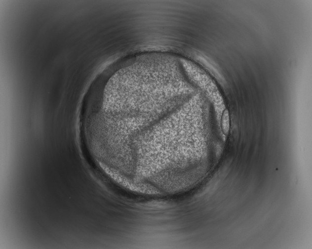 X0000094200578200711161810