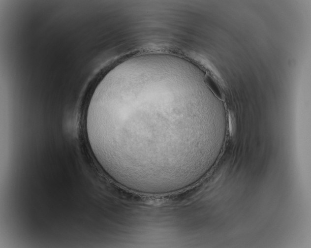 X0000094200579200711161810