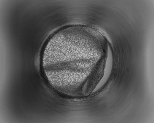 X0000094200580200711161810