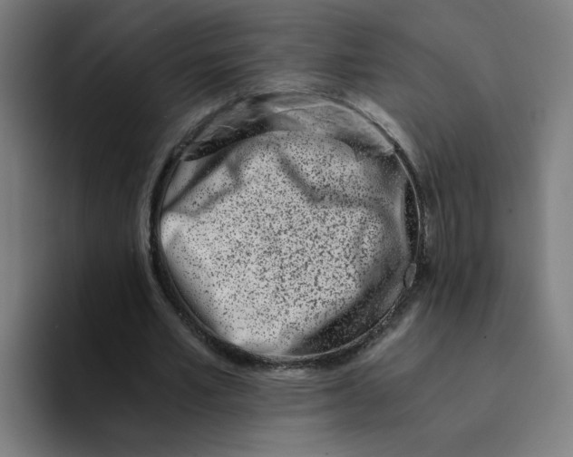 X0000094200581200711161810