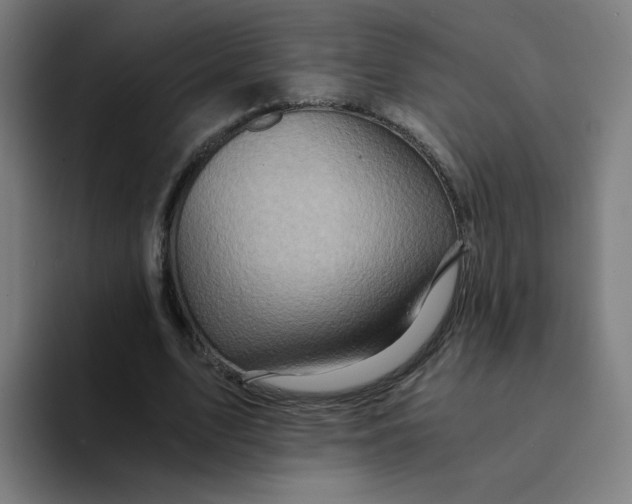 X0000094200583200711161810