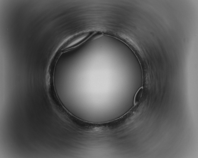 X0000094200584200711161810