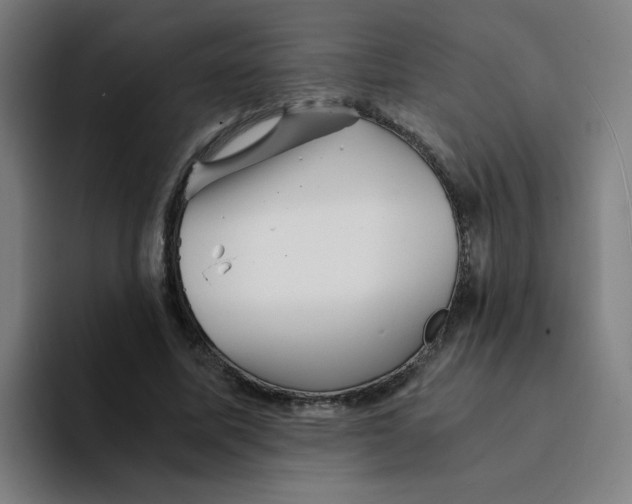 X0000094200587200711161810