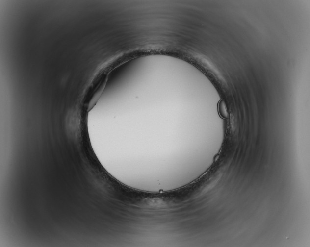 X0000094200588200711161810