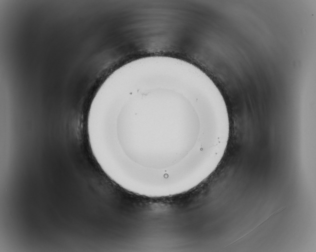 X0000094200592200711161810