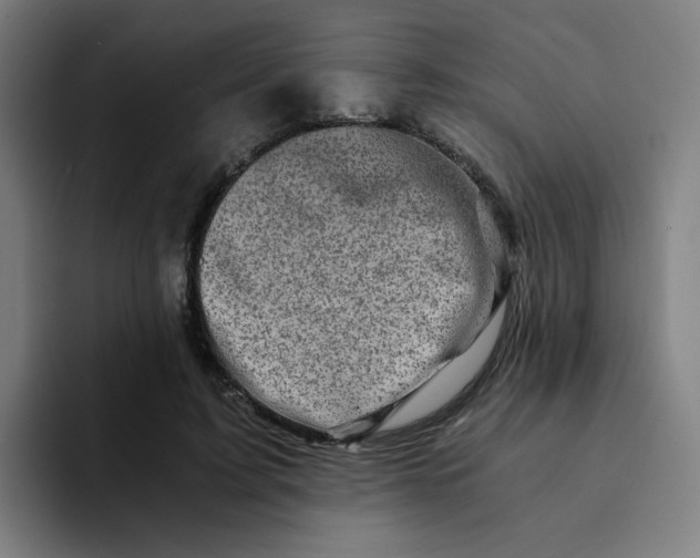 X0000094200595200711161810