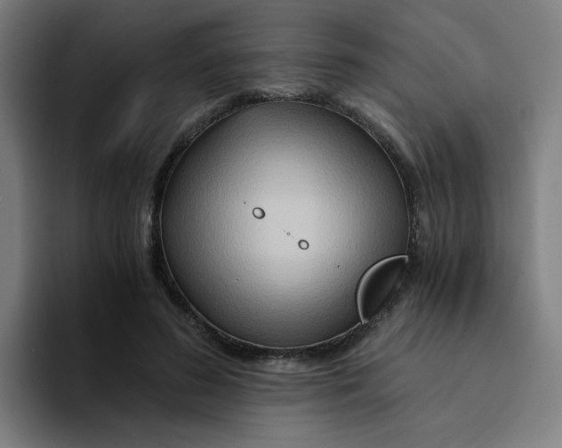 X0000094200596200711161810