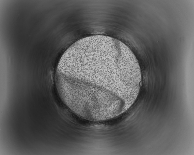 X0000094200598200711161810