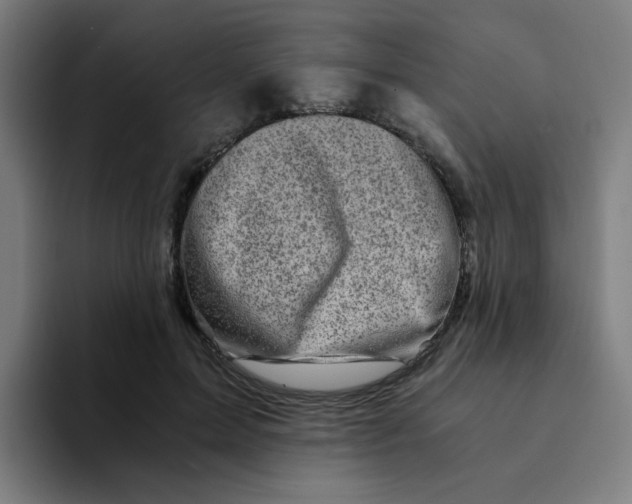 X0000094200599200711161810