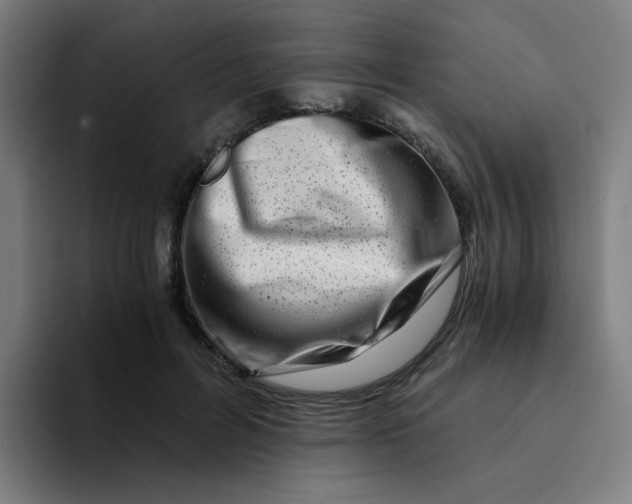 X0000094200600200711161810