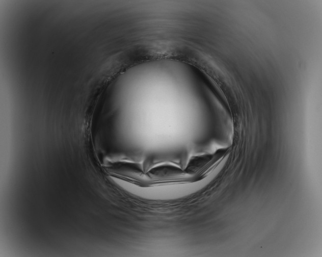 X0000094200601200711161810