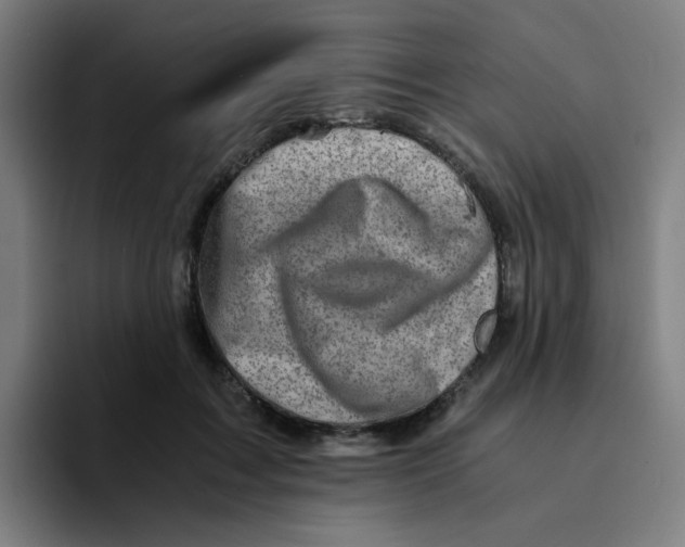 X0000094200603200711161810