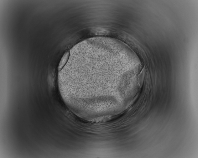 X0000094200604200711161810