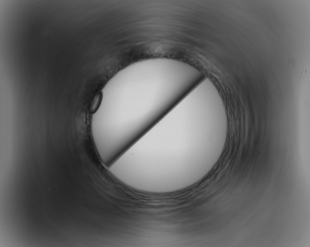 X0000094200605200711161810