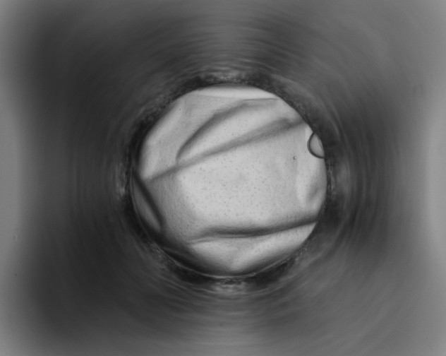 X0000094200606200711161810