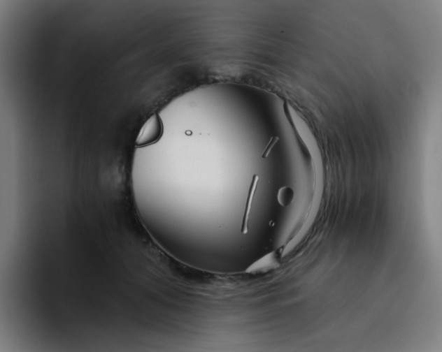 X0000094200608200711161809