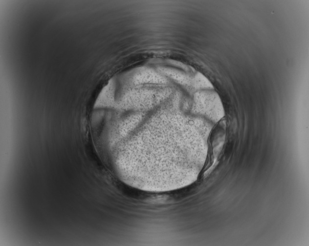 X0000094200609200711161809