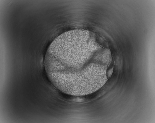 X0000094200610200711161809