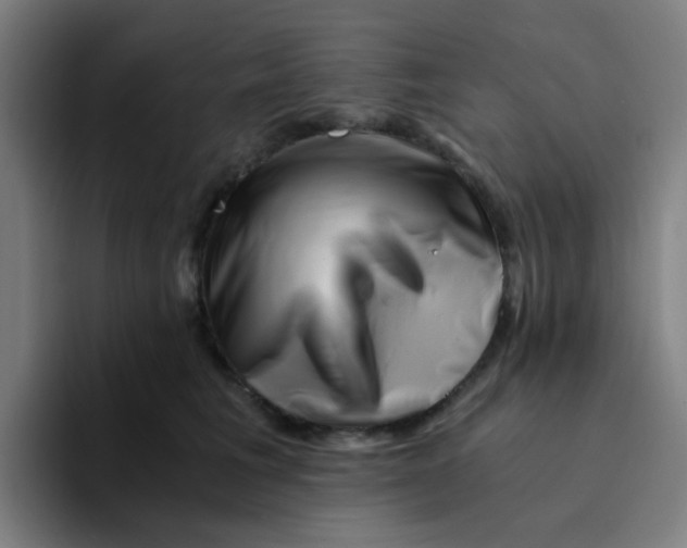 X0000094200613200711161809