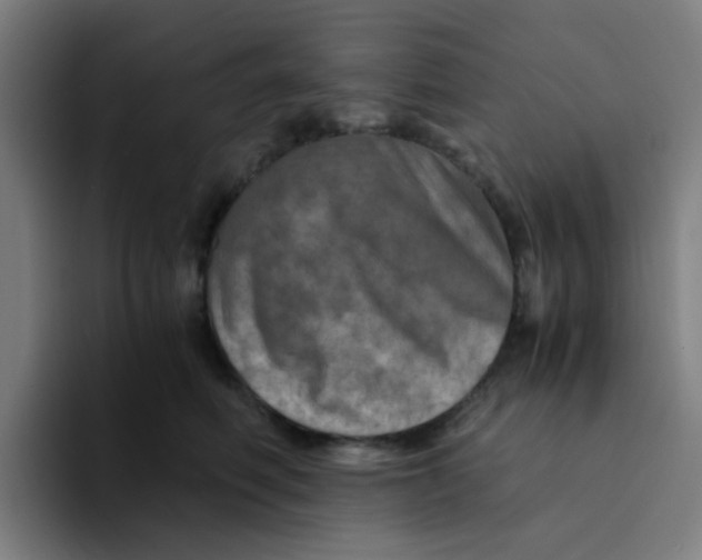 X0000094200614200711161809