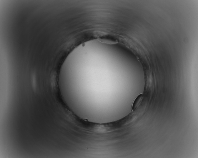 X0000094200616200711161809