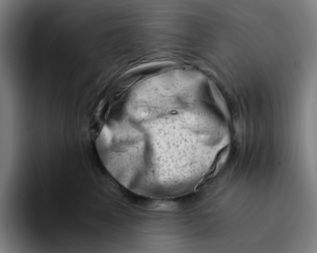 X0000094200617200711161809