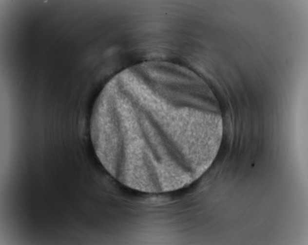 X0000094200619200711161809