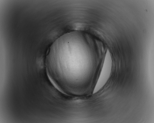 X0000094200620200711161809