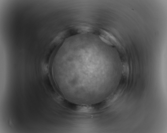 X0000094200621200711161809