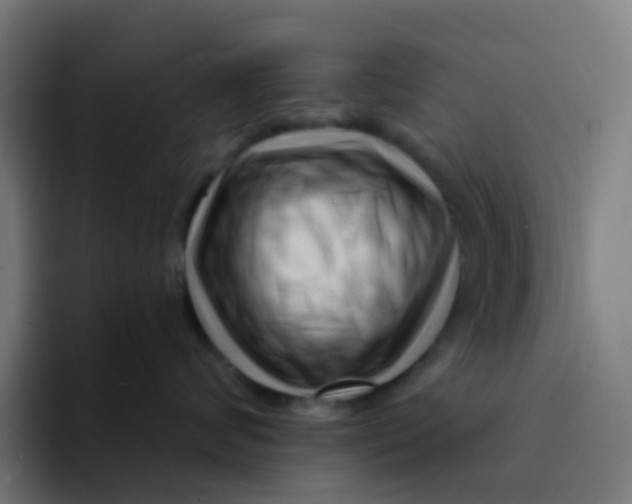 X0000094200624200711161809