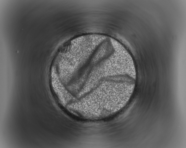 X0000094200625200711161809