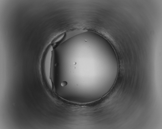 X0000094200626200711161809