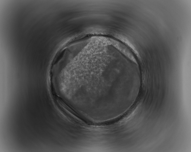 X0000094200629200711161809