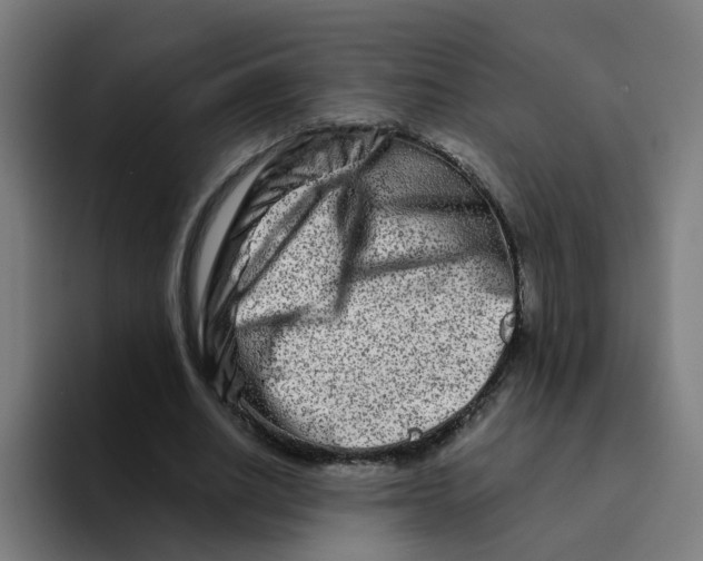 X0000094200630200711161809