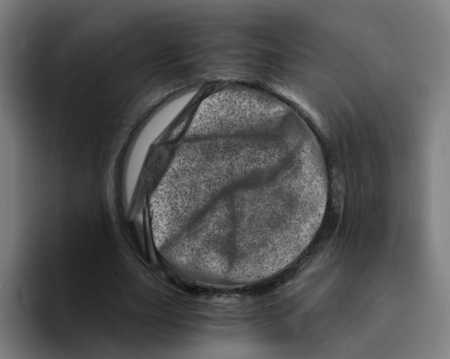 X0000094200631200711161809