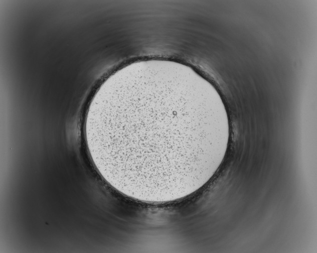 X0000094200632200711161809