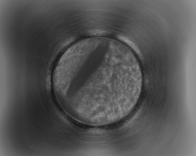 X0000094200633200711161809