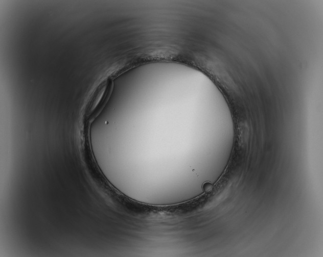 X0000094200634200711161809