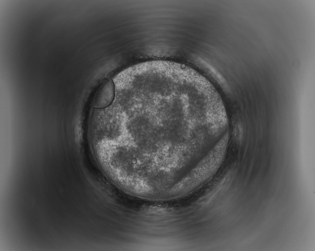 X0000094200635200711161809