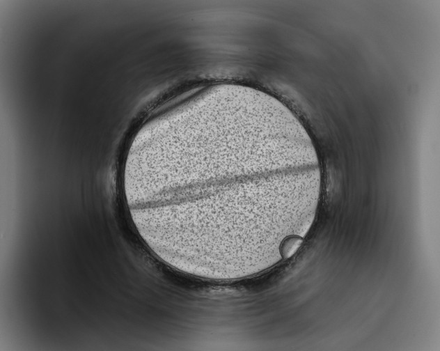 X0000094200636200711161809