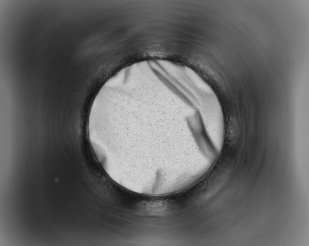 X0000094200639200711161809