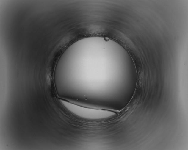 X0000094200644200711161809