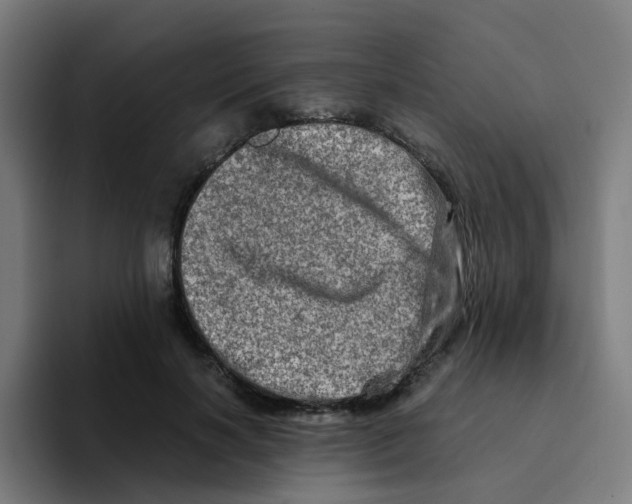 X0000094200646200711161809