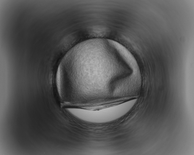 X0000094200647200711161809